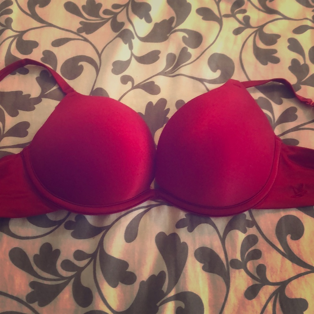 Aerie push up bra 34B